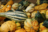 variations of decorative pumpkins