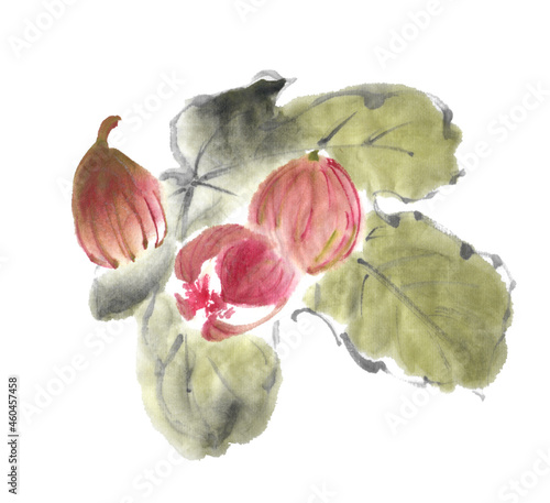 水墨画技法で描かれたイチジクと葉っぱ