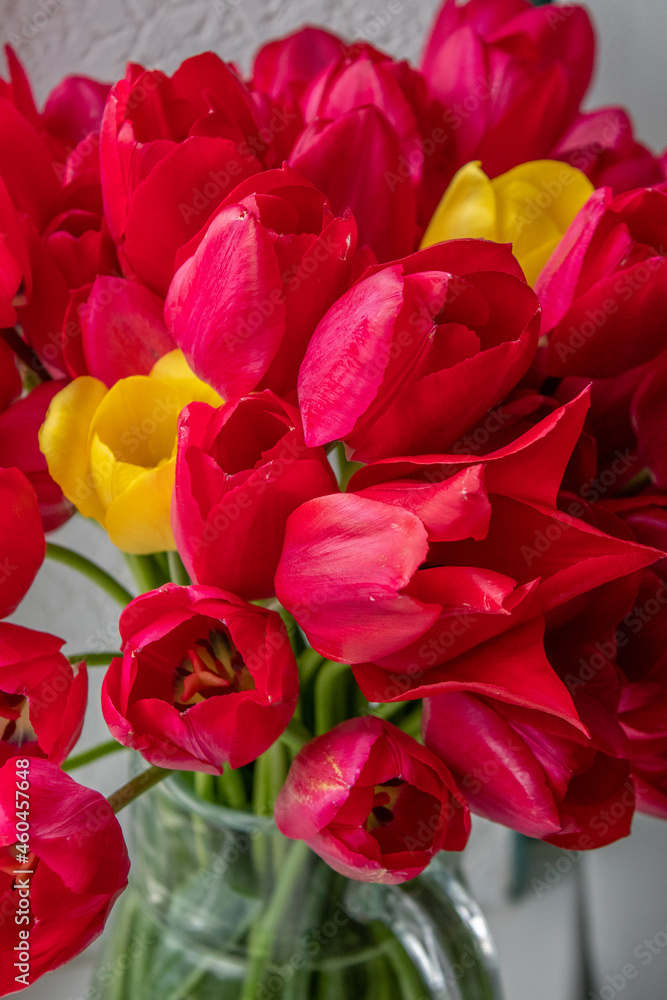 a bouquet of tulips in a glass jug a bouquet of tulips in a glass jug