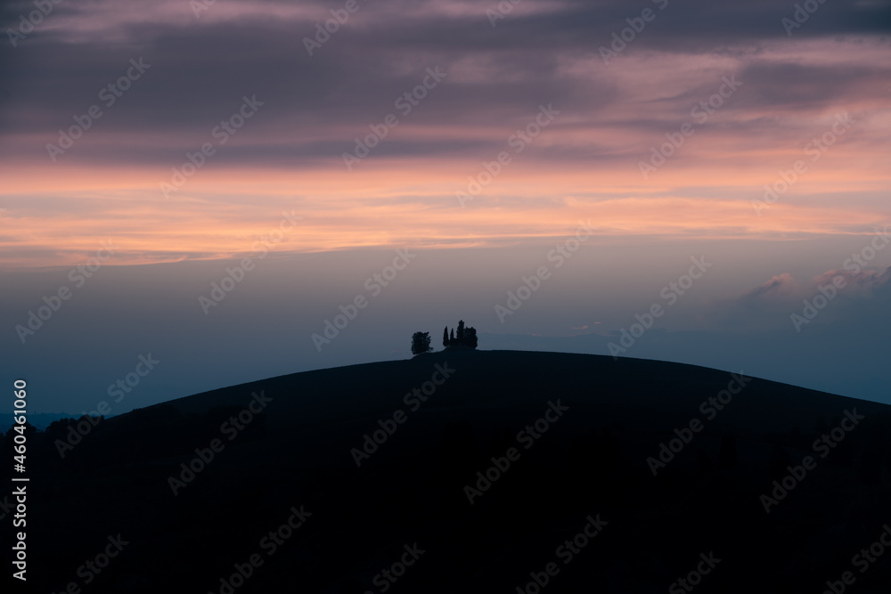 Tree Silhouette in Tuscan evening