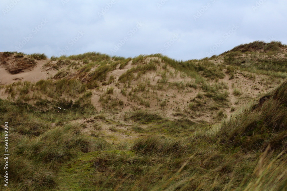 Sandy Beach Landscape with clouds Sandy Beach Landscape with clouds