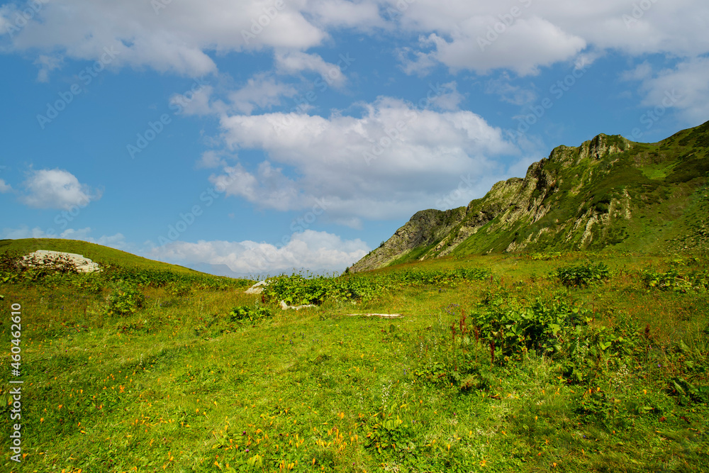 mountain climbing,meadow landscape in summer on the top of the alps,panoramic view of the peaks and green grass