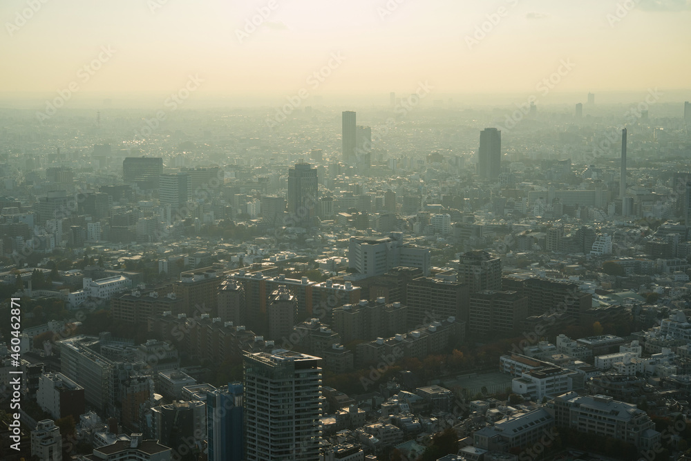 Hazy Tokyo skyline with smog and air pollution 　霞のかかった東京都心の高層ビル群 大気汚染・環境問題