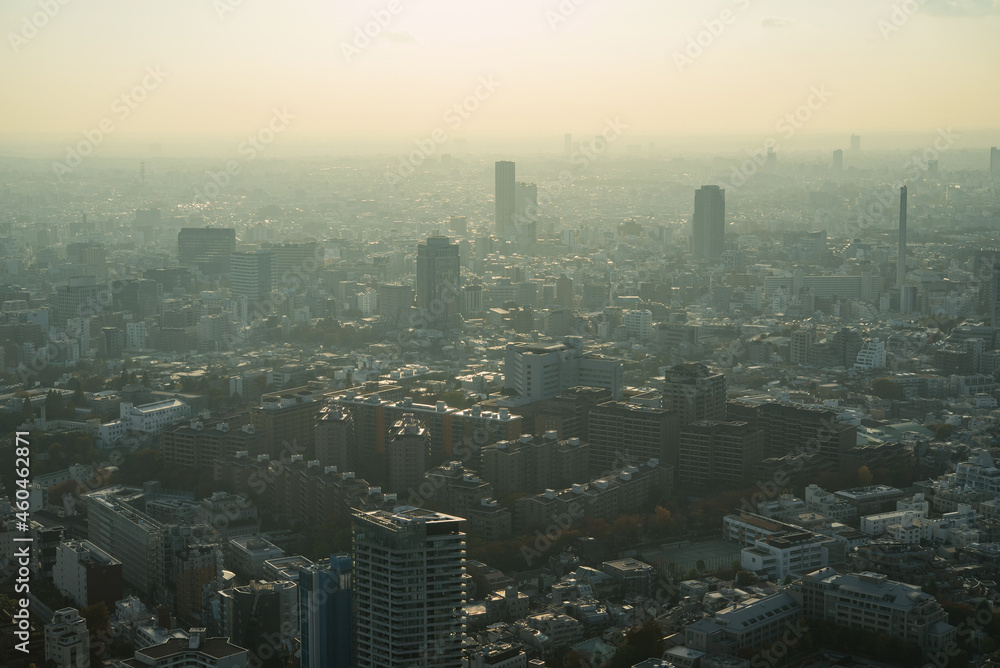 Hazy Tokyo skyline with smog and air pollution 霞のかかった東京都心の高層ビル群 大気汚染・環境問題 Hazy Tokyo skyline with smog and air pollution 霞のかかった東京都心の高層ビル群 大気汚染・環境問題