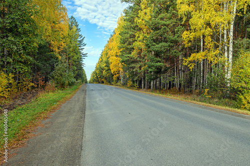 The highway passes through the autumn forest