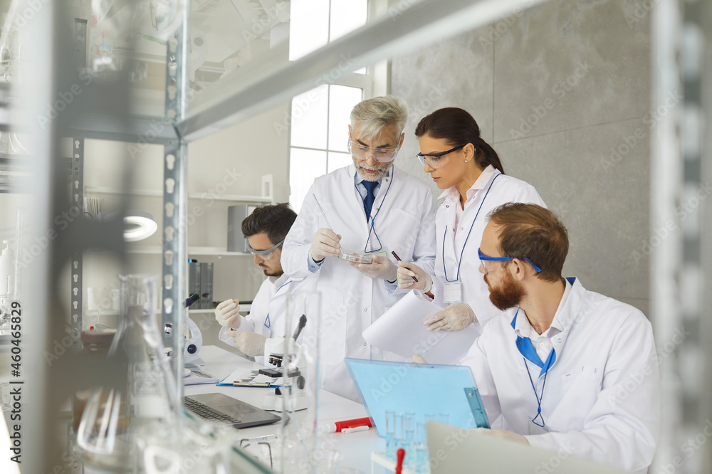Young female scientist and her senior male supervisor look at a colony of cells grown in a petri dish in a research laboratory. Concept of research of laboratory analyzes and tests. Young female scientist and her senior male supervisor look at a colony of cells grown in a petri dish in a research laboratory. Concept of research of laboratory analyzes and tests.