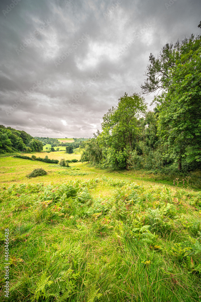 Obraz premium Summer view through the valley.