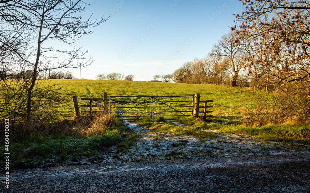 Fototapeta premium A snow covered countryside field entrance and gate in winter, Scotland