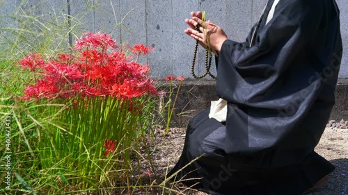 彼岸花の前で読経する僧侶 photo