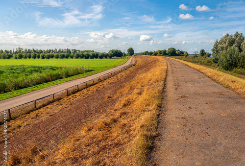Canvas Print Colorful and picturesque autumn landscape with a dike in the Dutch province of Noord-Brabant