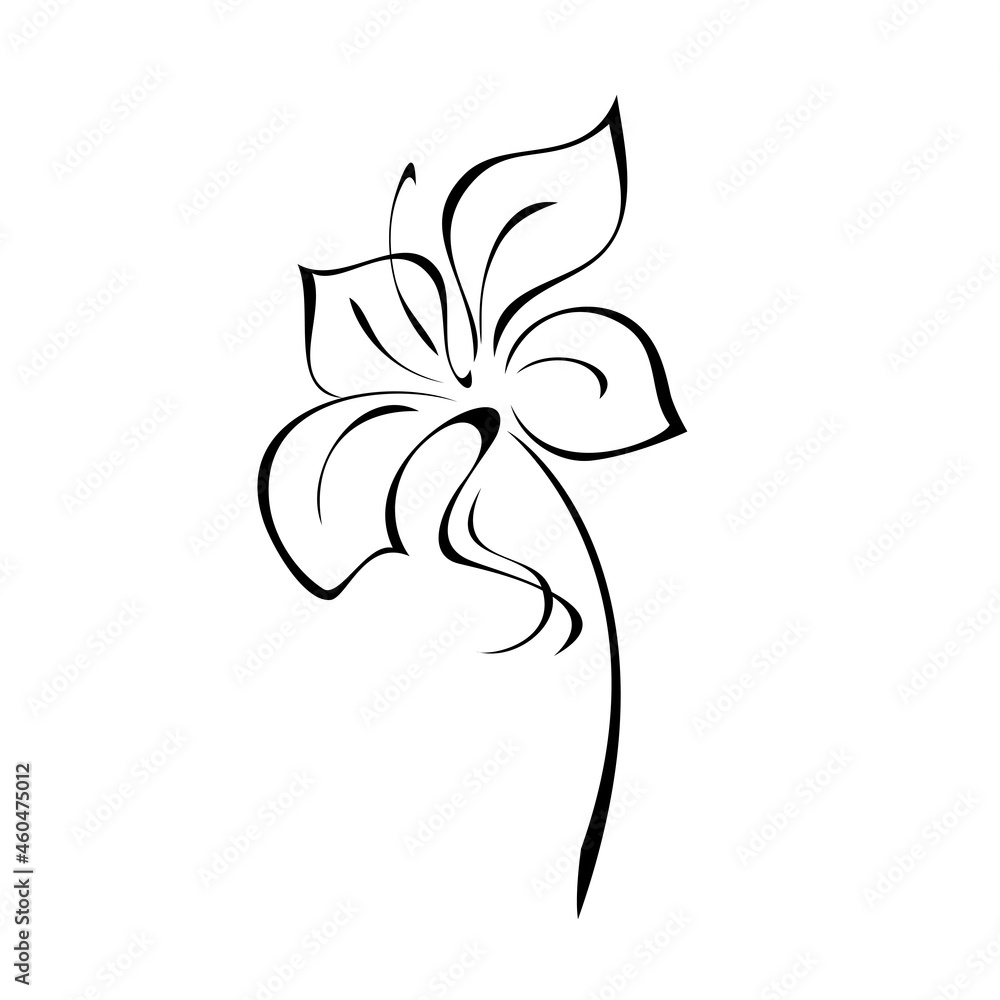 one stylized blooming flower on a short stalk without leaves in black lines on a white background one stylized blooming flower on a short stalk without leaves in black lines on a white background