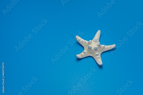 Starfish isolated on a blue background. One dried five finger fish or sea star macro. Summer vacations and sea holidays design element for greeting card