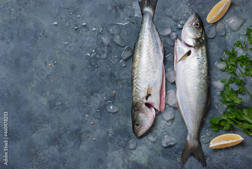 Fresh fish bluefish  with ice, salt and lemon on a blue background