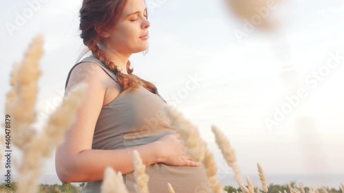 young happy beautiful pregnant woman walks in field among dry fluffy grass at sunset, relaxation on summer nature, preparation for childbirth, healthy motherhood