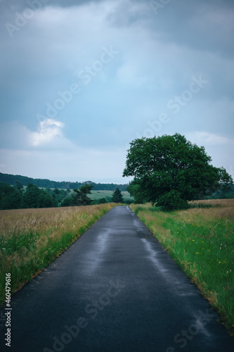 rainy path on the countryside through green fields