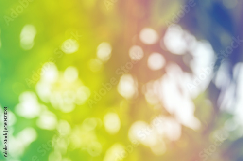 abstract soft bokeh pastel circle yellow and orange beauty light background. fresh flare growing colorful effect design. © Topfotolia