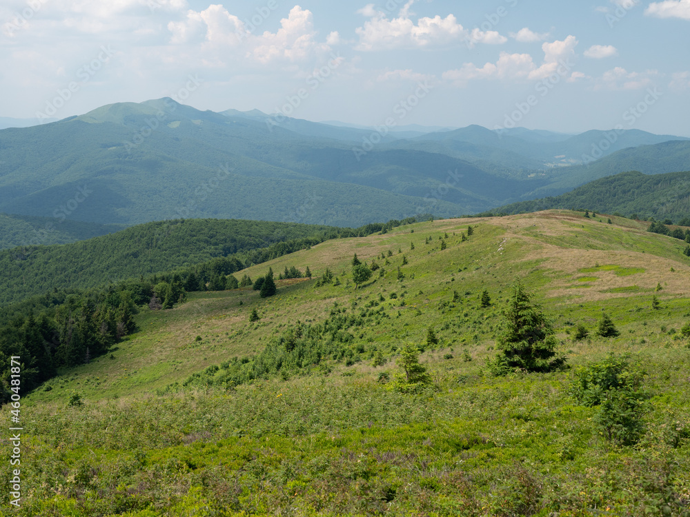 Fototapeta premium landscape in the mountains