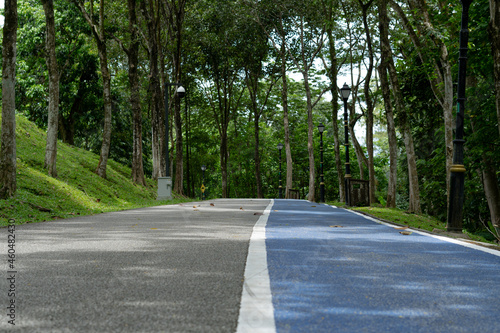 Peaceful empty lane for cycling and jogging in the public park in Kepong, Kuala Lumpur, Malaysia.