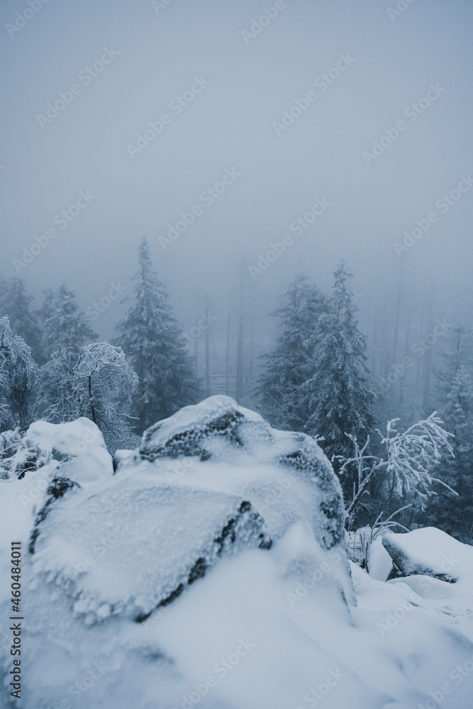 Foggy and frozen winter nature in the german mountains with frozen white pine trees. Cold and frozen hiking adventures with misty nature. Harz Mountains National Park in Germany