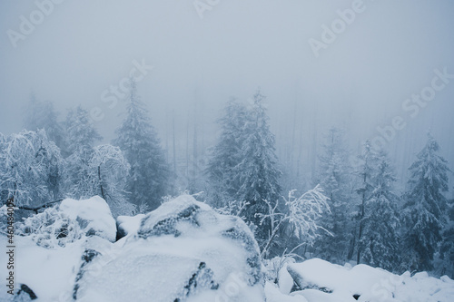 Foggy and frozen winter nature in the german mountains with frozen white pine trees. Cold and frozen hiking adventures with misty nature. Harz Mountains National Park in Germany © Ricardo