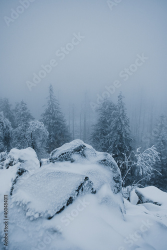 Foggy and frozen winter nature in the german mountains with frozen white pine trees. Cold and frozen hiking adventures with misty nature. Harz Mountains National Park in Germany © Ricardo