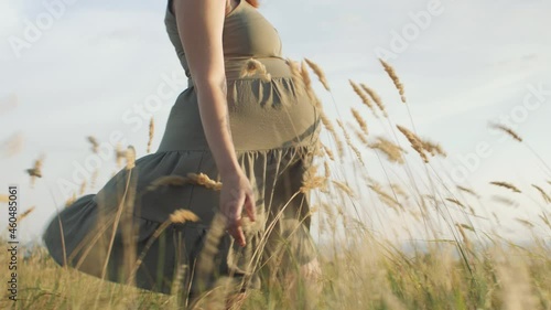 young happy beautiful pregnant woman walks in field among dry fluffy grass at sunset, relaxation on summer nature, preparation for childbirth, healthy motherhood