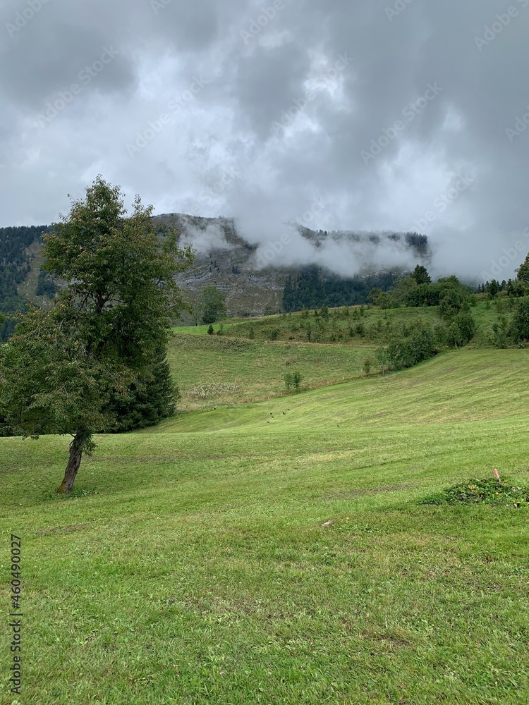 Obraz premium austria