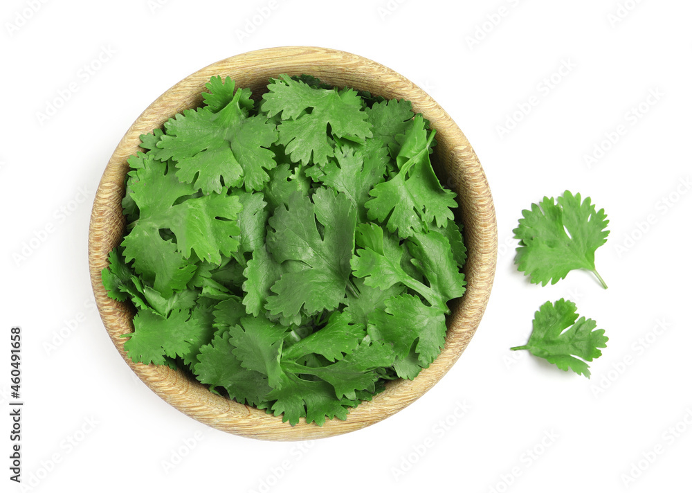 Bowl with fresh green coriander leaves on white background, top view Bowl with fresh green coriander leaves on white background, top view