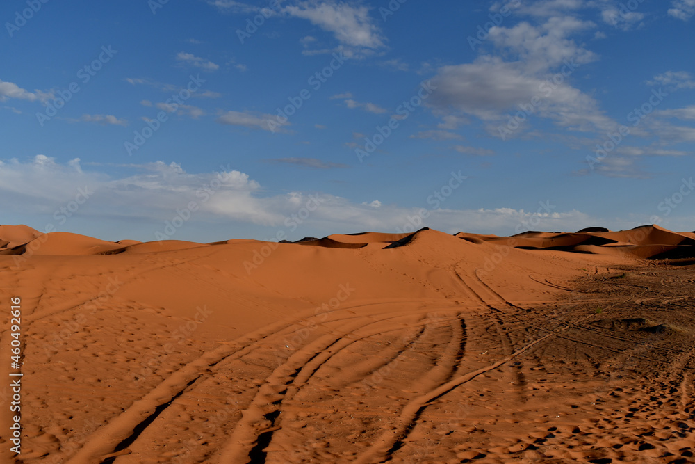 Sahara Dunes