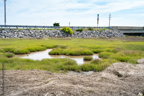 US infrastructure road bridges over marsh wetland habitat along coastal mid atlantic cities in america needs improvement with environmental impace
