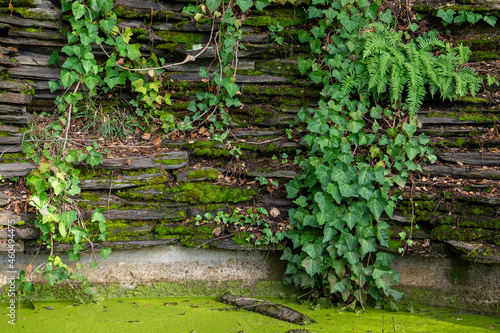 green stone wall