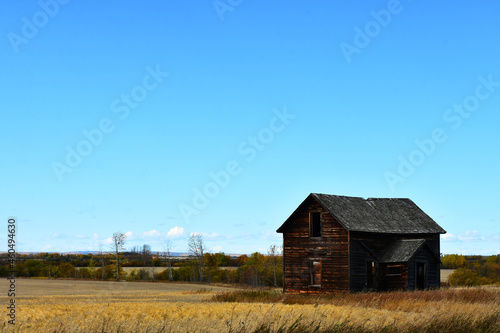 An image of an old abandoned rural homestead in late autumn. 