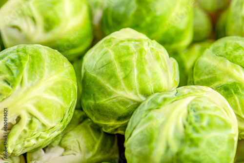Brussels sprouts close up, background of fresh green fruits of brussels sprouts