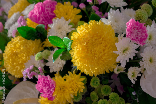Many colorful flowers are prepared.