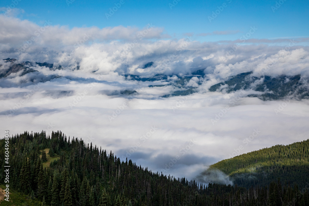 blue skies and clouds  partially covering the Olympic mountain range as viewed from Hurricane Ridge trail in Olympic National park in Washington.