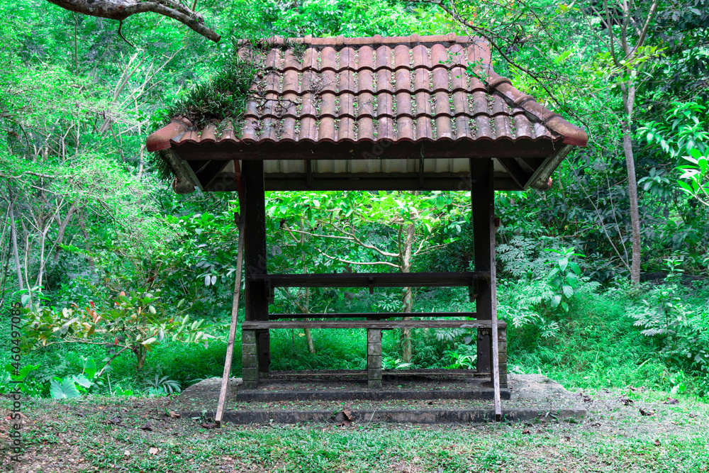 Beautiful old sala in the forest. Beautiful old sala in the forest.