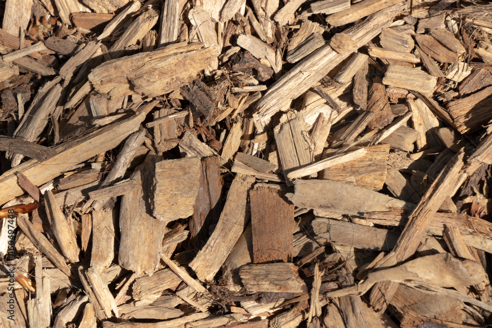 texture background of wood bark chips texture background of wood bark chips