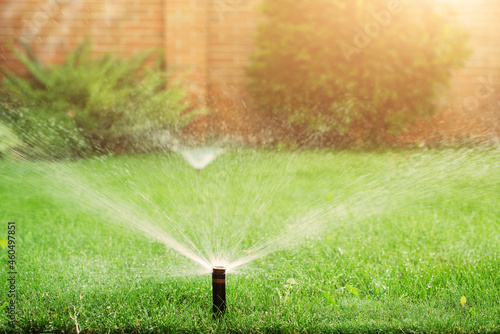 Tableau sur toile Green grass being watered with automatic sprinkler system sunny day