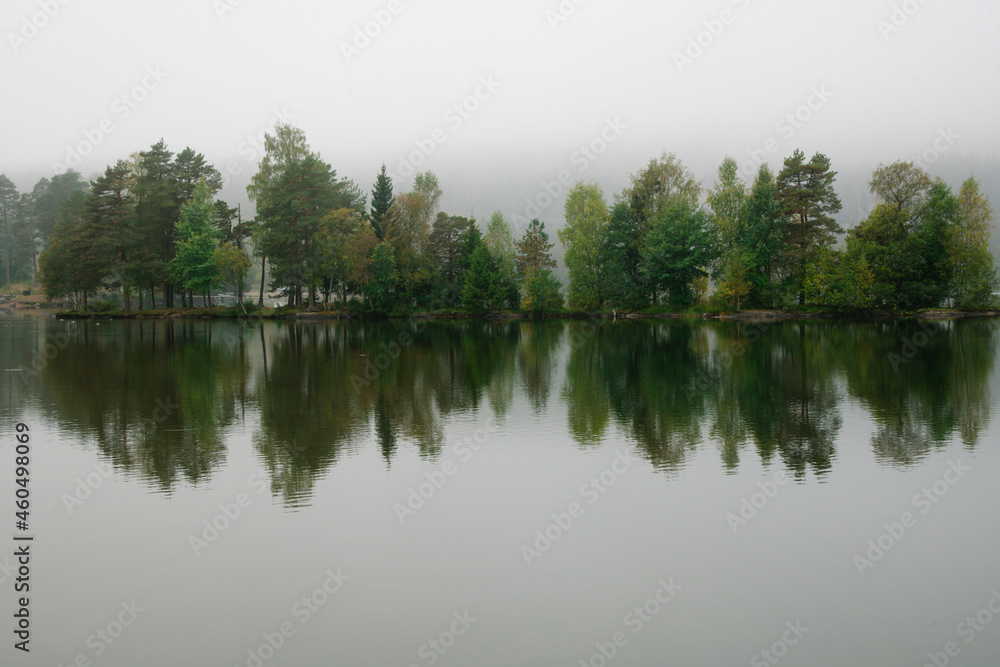 reflection of trees in the lake