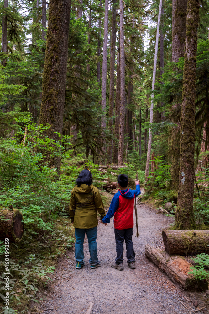 Fototapeta premium Asian family of mother and son hiking on the pacific northwest rain forest in Olympic national Park in Washington state.
