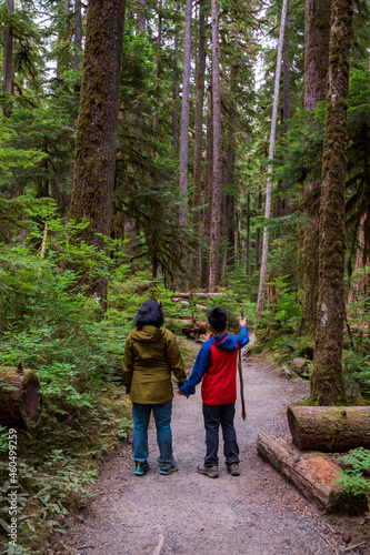 Asian family of mother and son hiking on the pacific northwest rain forest in Olympic national Park in Washington state.