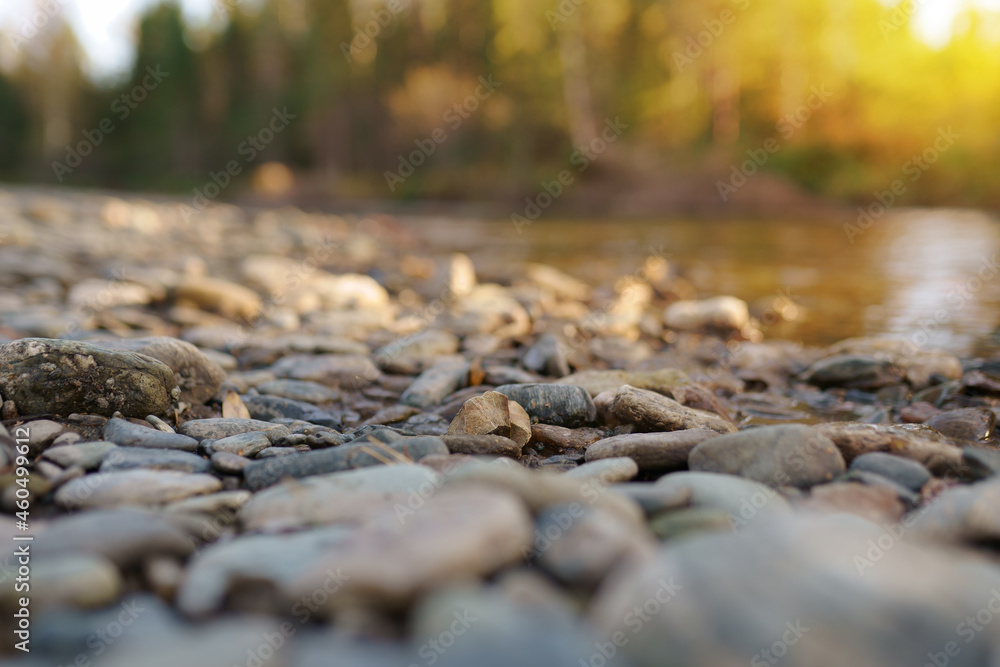 Fototapeta premium empty pebble beach close up