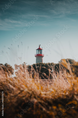 Beautiful warm summer evening sunset light of a red brick lighthouse with orange grass and coastline views. Perfect sunny and happy day at the coast. German Baltic Sea, Fehmarn,  Schleswig-Holstein
