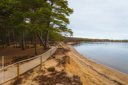 Wooden path in the forest by the sandy shore of Baltic sea © yegorov_nick