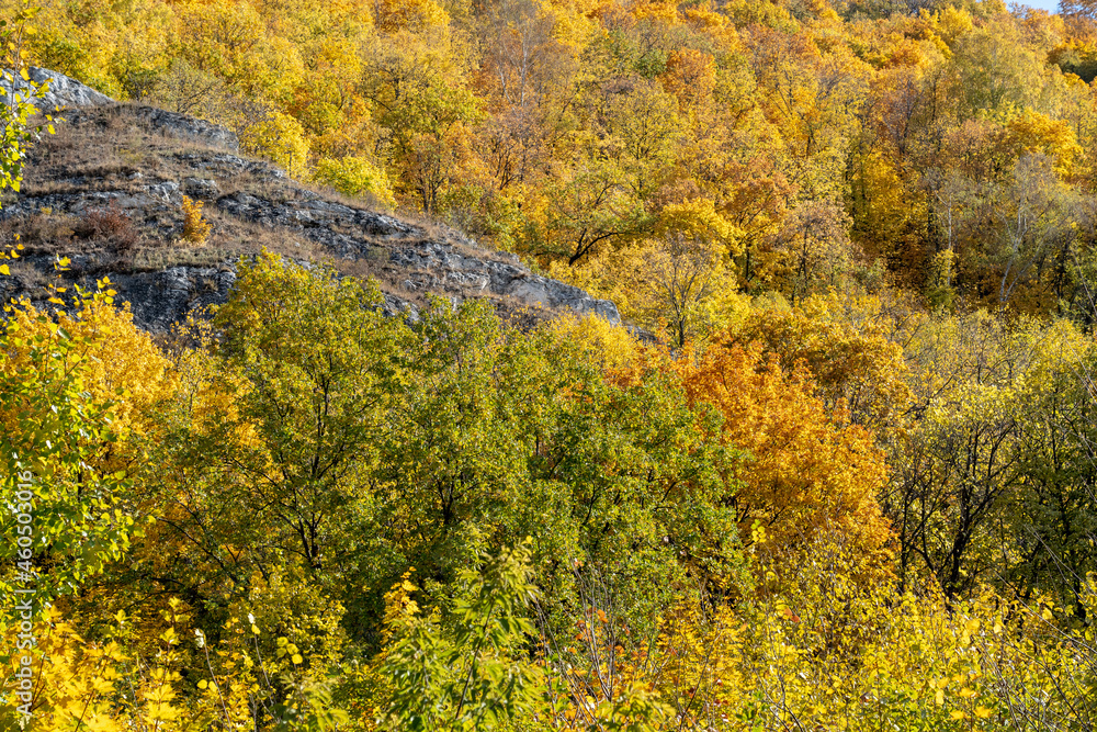The slope of the mountain is covered with an autumn forest with rocky outcrops. The slope of the mountain is covered with an autumn forest with rocky outcrops.