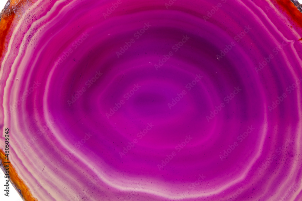 Macro mineral stone Purple Agate breed a white background Macro mineral stone Purple Agate breed a white background