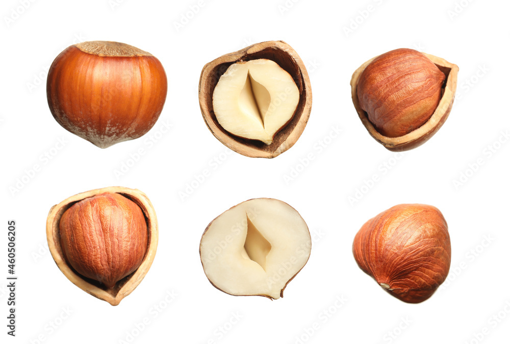 Set with tasty hazelnuts on white background Set with tasty hazelnuts on white background