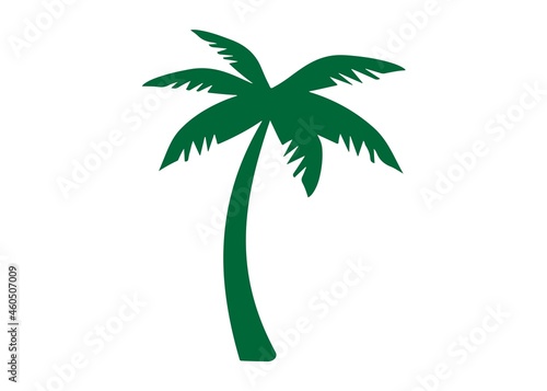 coconuts trees vector flat design illustration