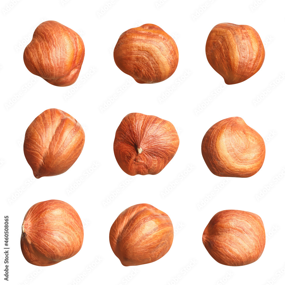 Set with tasty hazelnuts on white background Set with tasty hazelnuts on white background