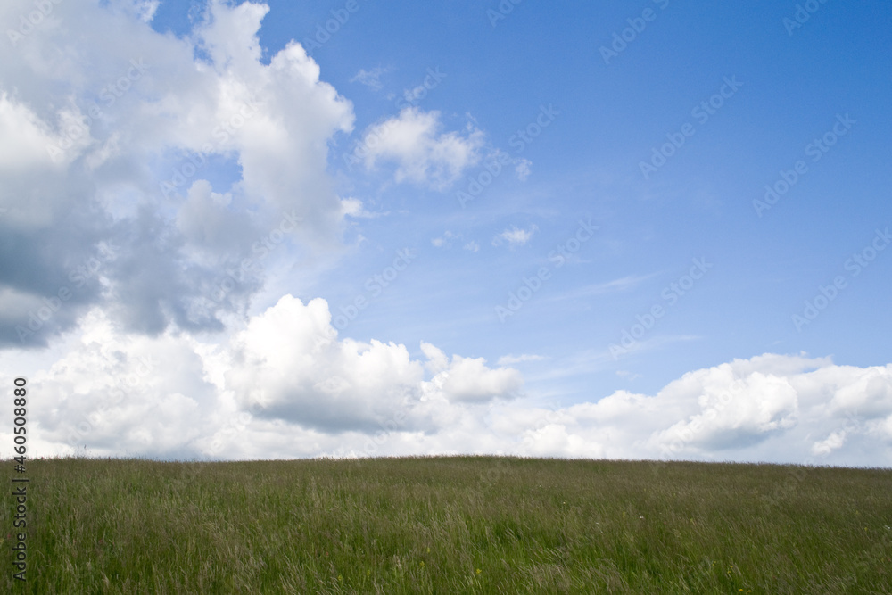 Empty meadow at summer - blue sky and clouds background. Empty meadow at summer - blue sky and clouds background.